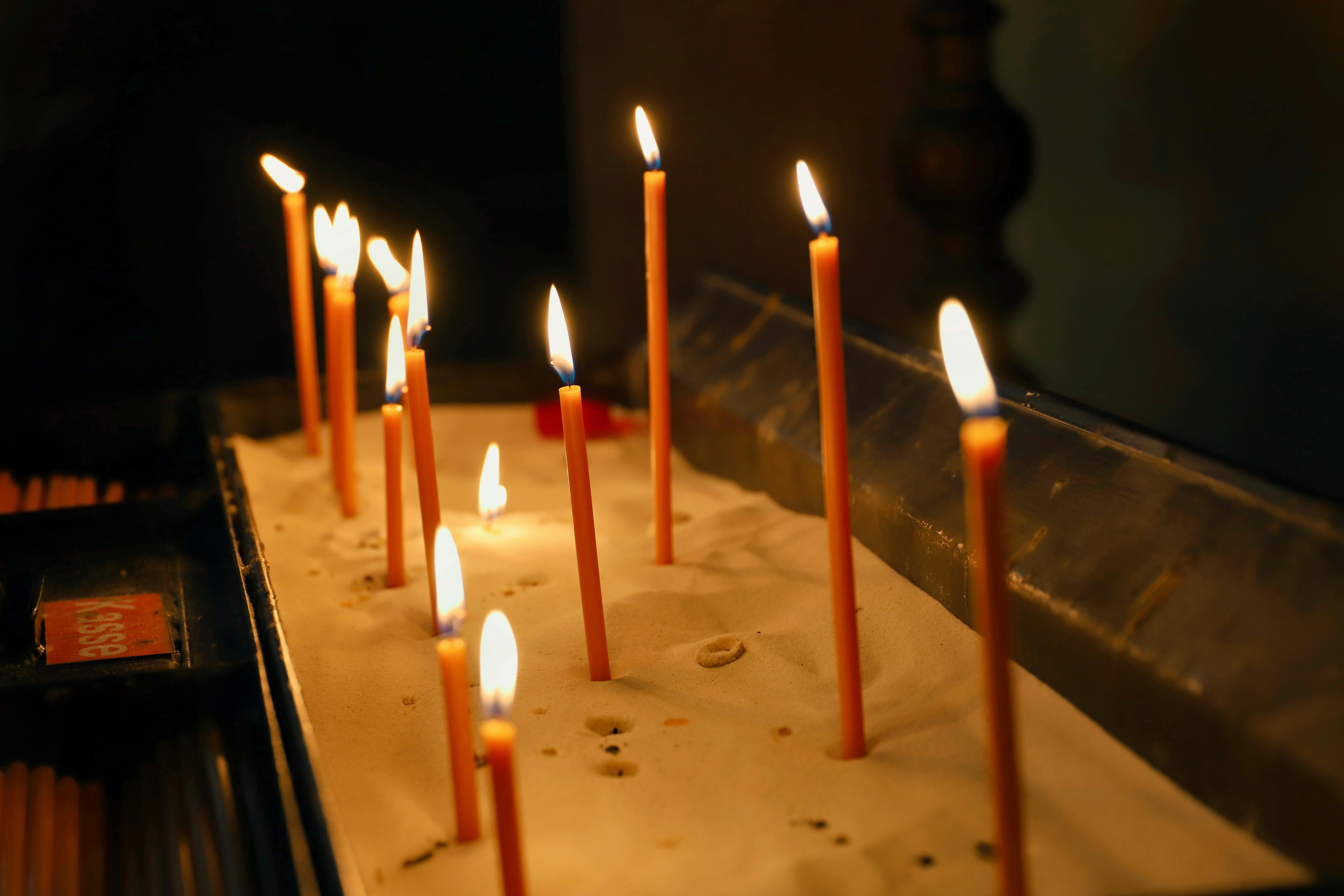 Bikini+Wax+Nude Photos, Download The BEST Free Bikini+Wax+Nude Stock Photos & HD Images