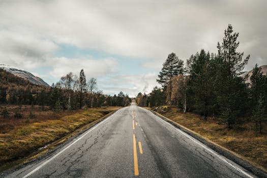 Discover a peaceful road stretching through a stunning autumn forest landscape.
