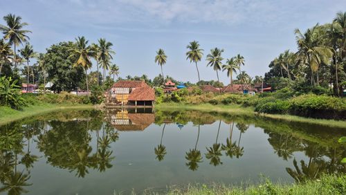 Free Beautiful village scene with palm trees reflecting in a serene pond, set in a tropical environment. Stock Photo