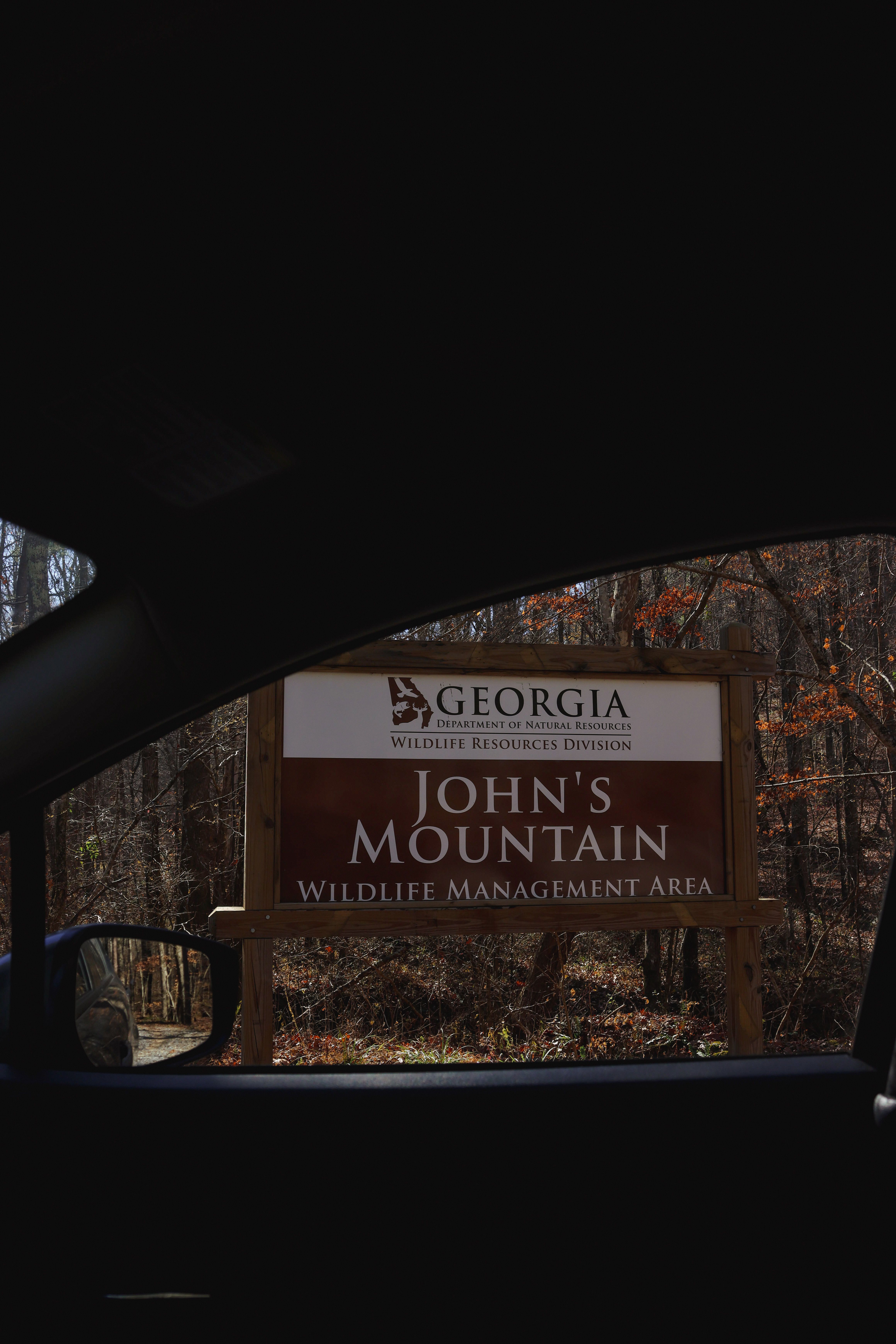 A scenic state park entrance sign beside a forest road with no people present