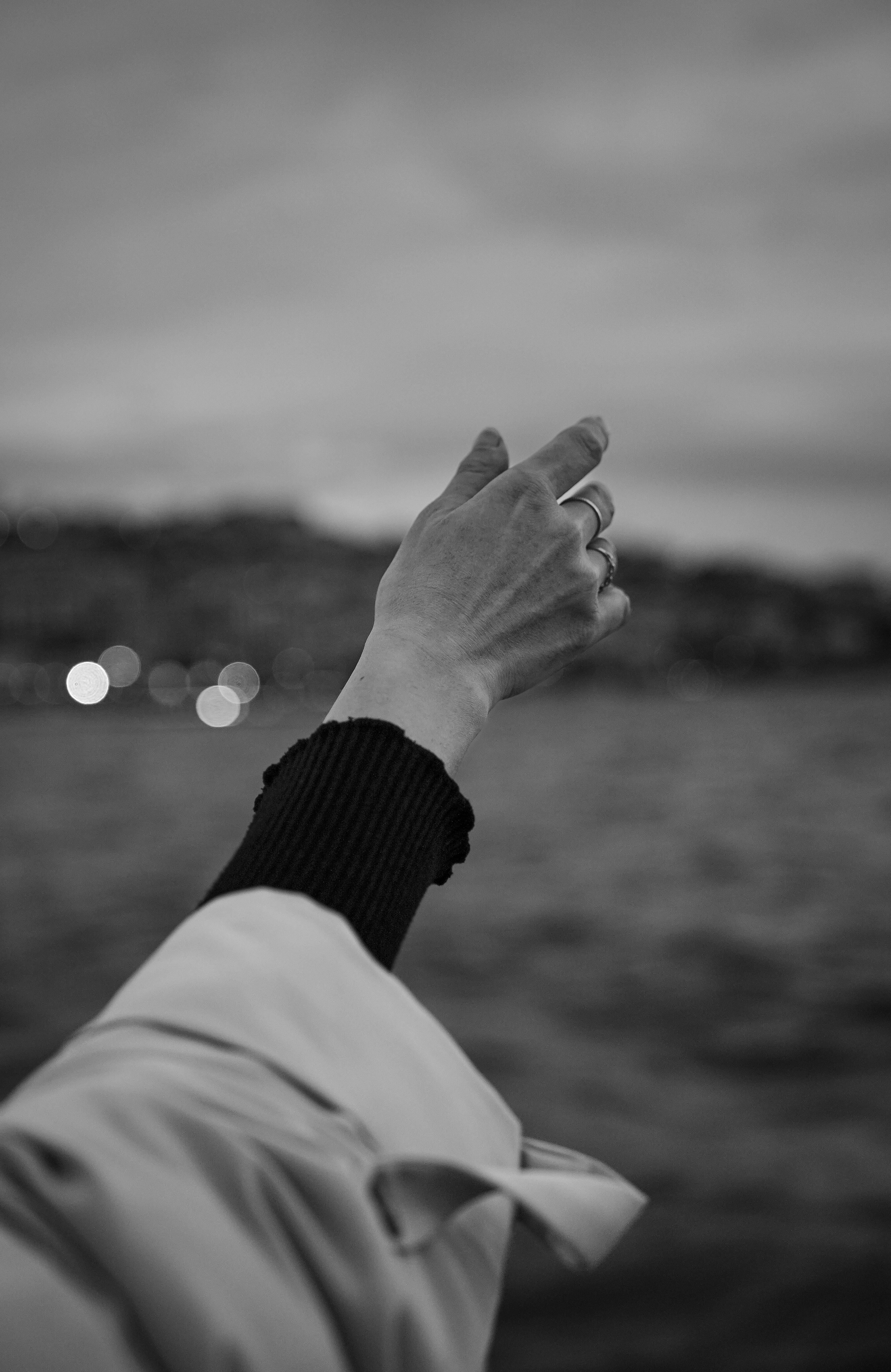 無料 コントラスト, シーン, ジェスチャーの無料の写真素材 写真素材