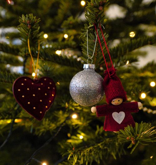 Free Close-up of Christmas tree with ornaments, showcasing festive decor and warm lighting. Stock Photo