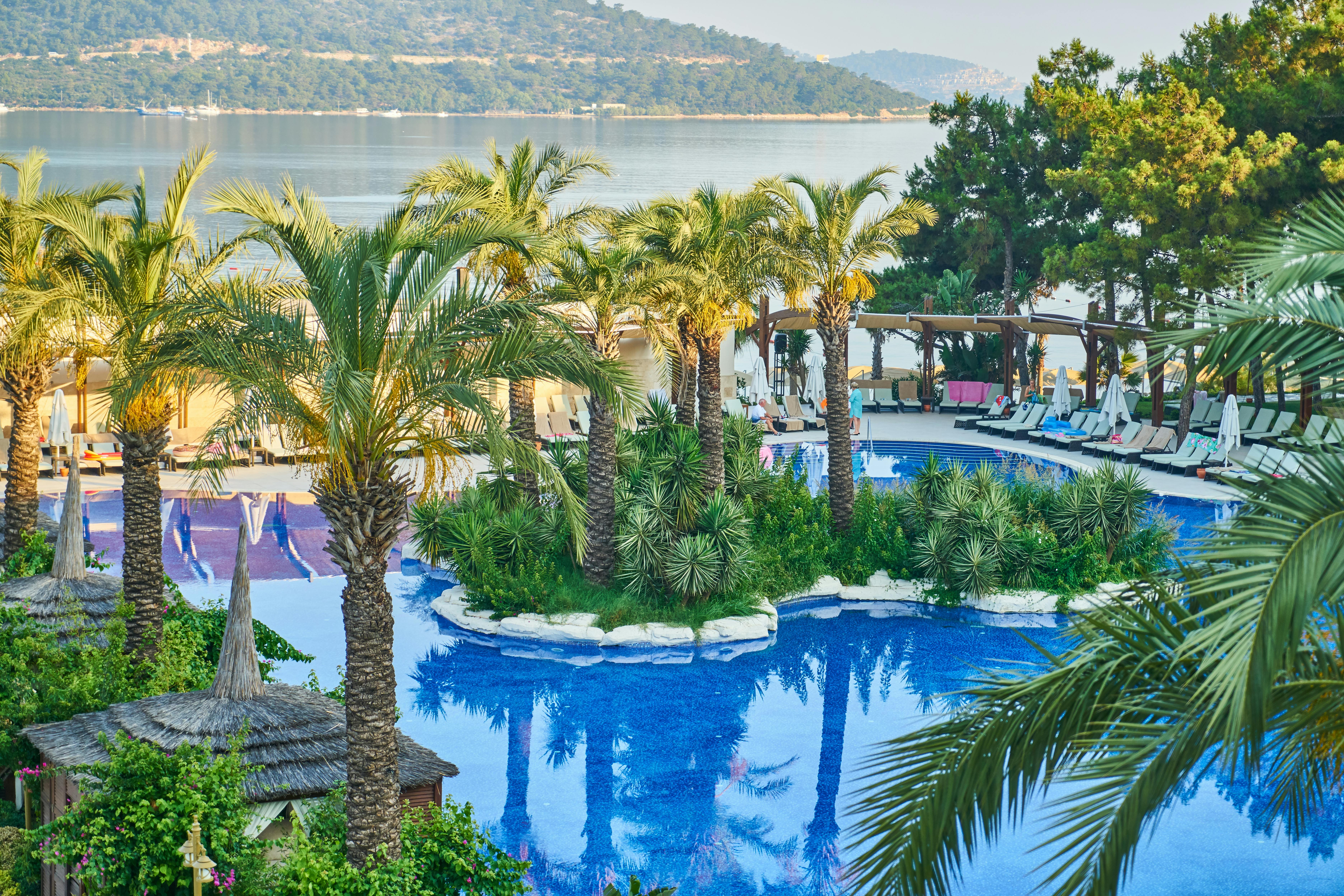 Stunning tropical resort featuring lush palm trees and a serene swimming pool overlooking a tranquil bay.