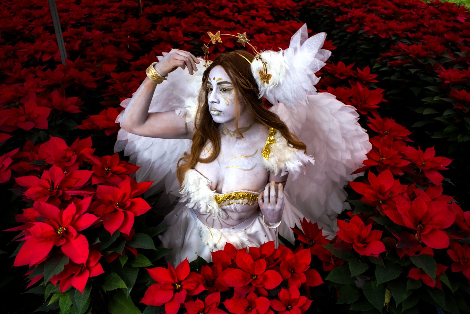 A fantasy character with angel wings surrounded by vibrant red poinsettias, creating a mystical scene.