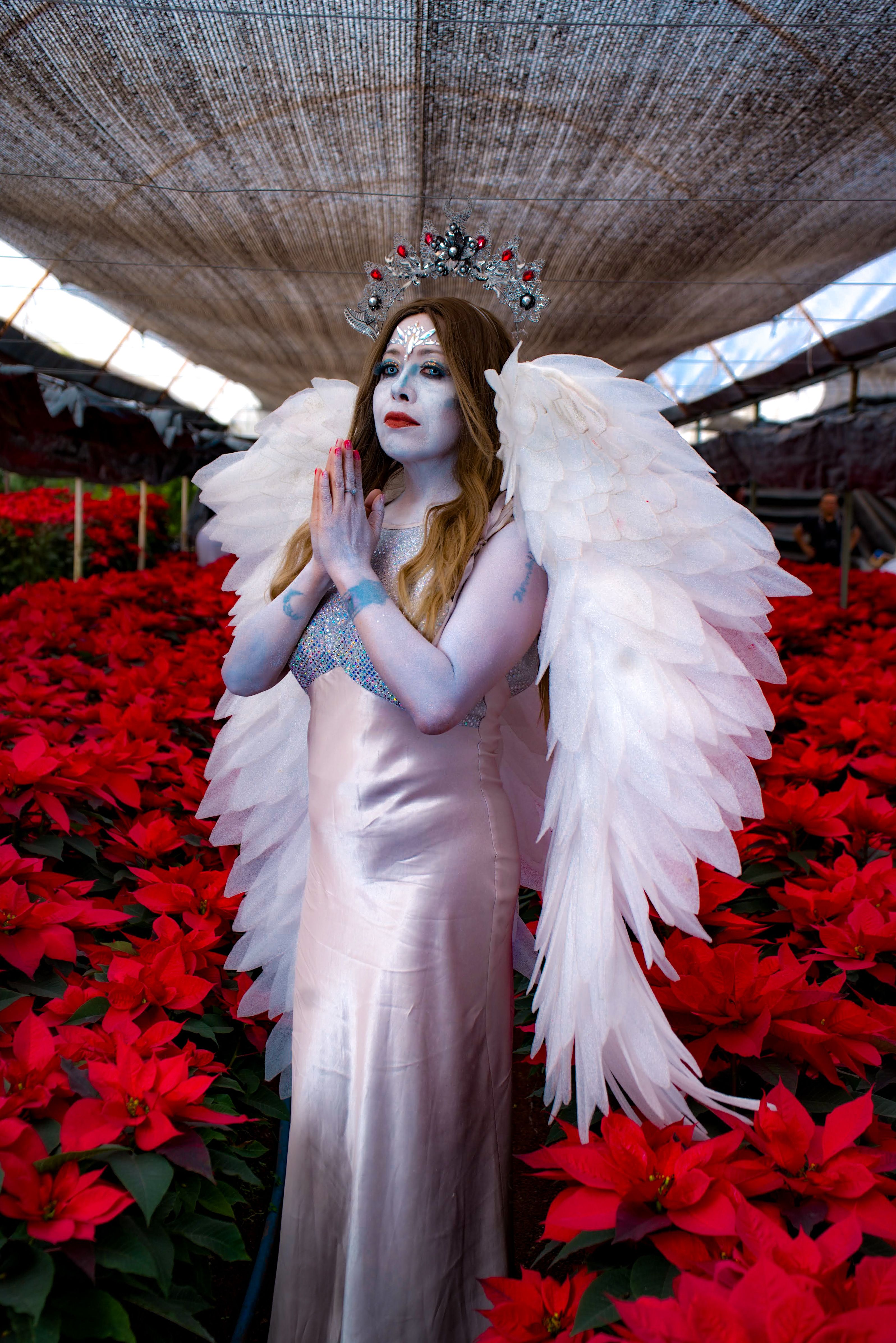 A mystical angelic figure poses with white wings amid vibrant poinsettias in a greenhouse.