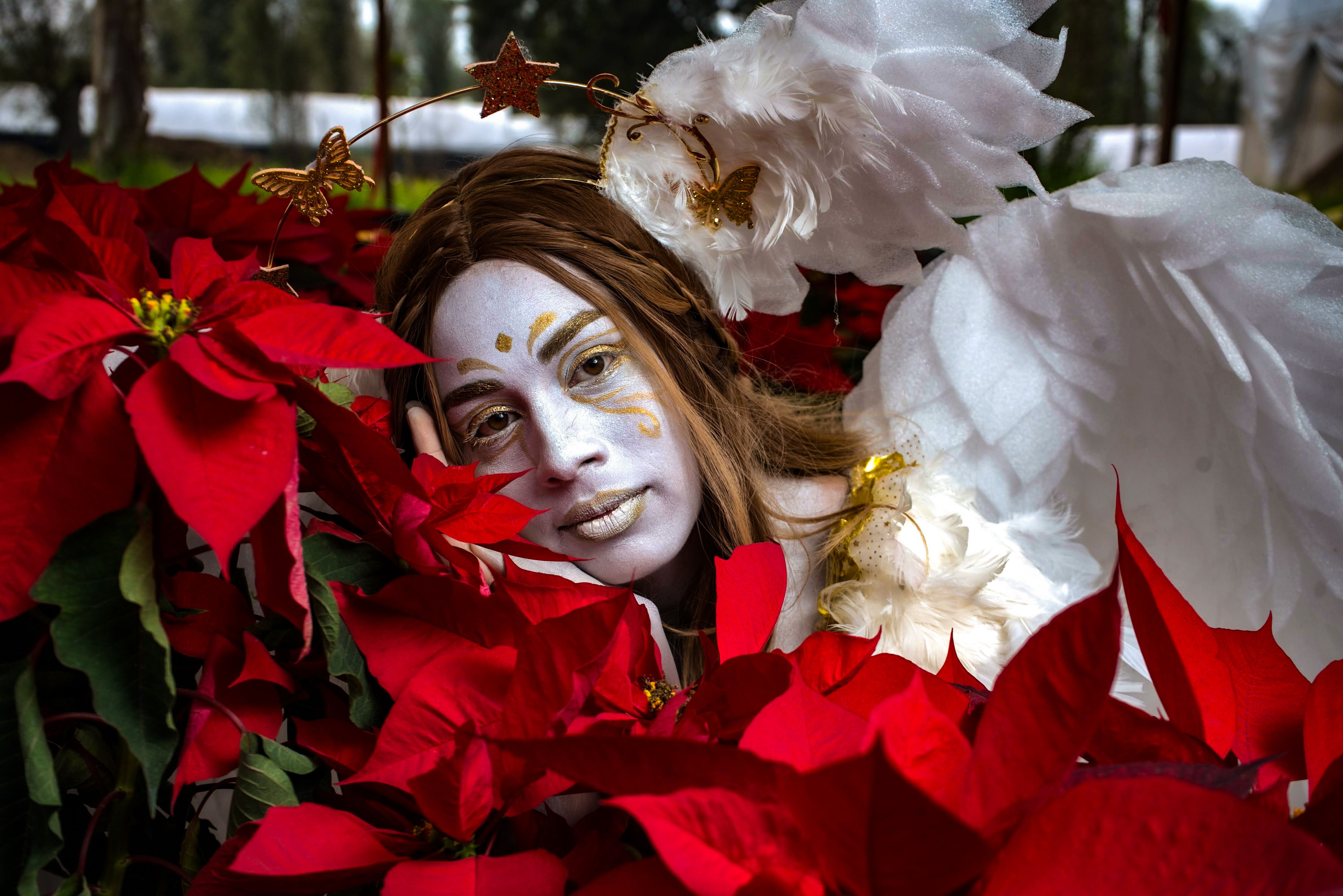 Fantasy Angel Amidst Vibrant Poinsettias · Free Stock Photo