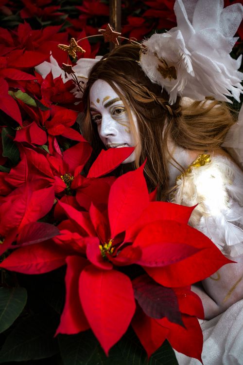 Free Mystical woman in feather costume surrounded by vibrant red poinsettias. Unique artistic expression. Stock Photo