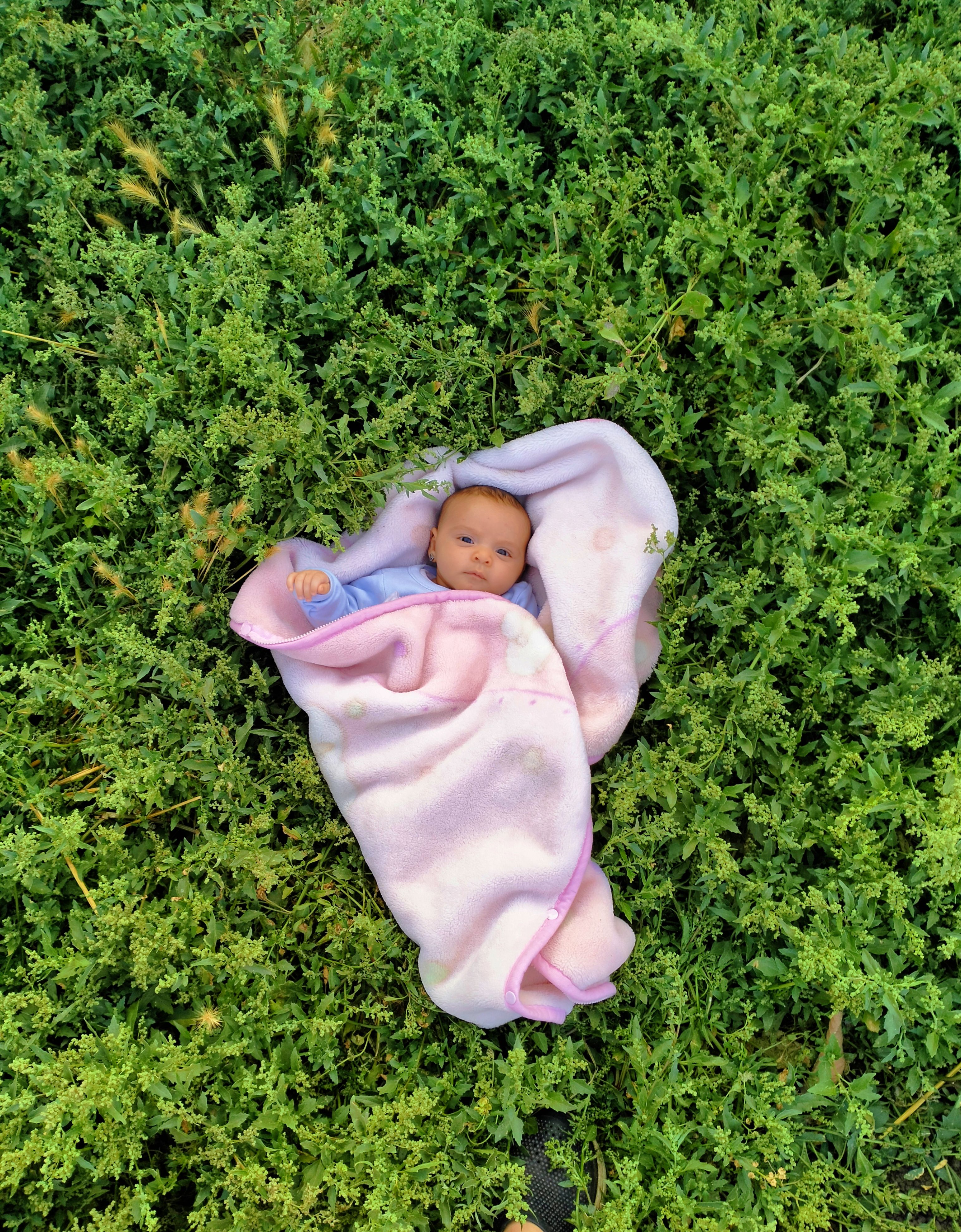 Adorable Baby Wrapped in Pink Blanket Outdoors · Free Stock Photo