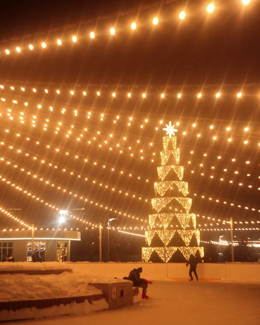 Fotomural Fotos de stock gratuitas de árbol, árbol de Navidad, banco