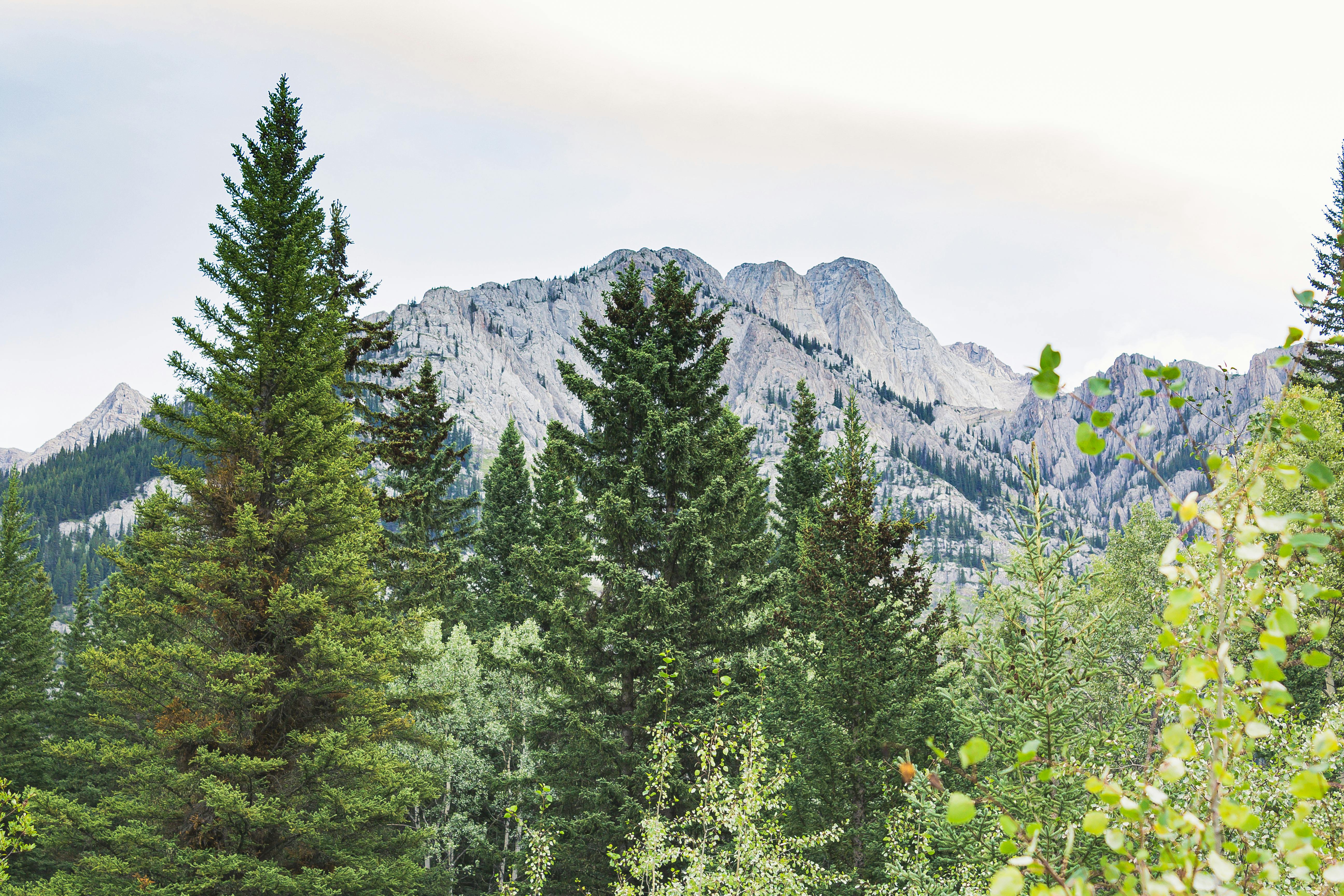加拿大艾伯塔省拥有郁郁葱葱的绿色森林和高耸的山脉，是完美的自然逃离之地