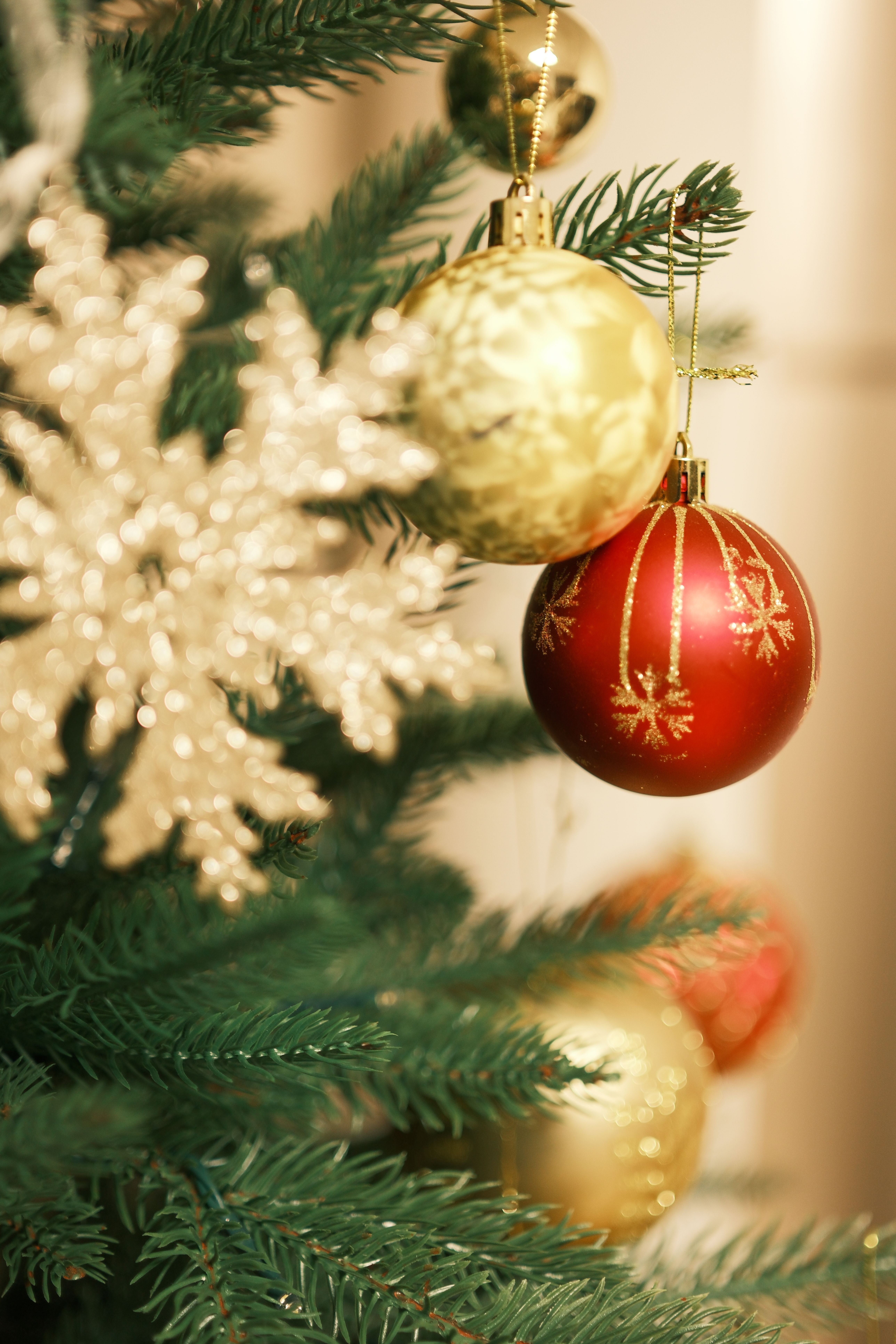 Festive Christmas Tree with Red and Gold Ornaments · Free Stock Photo