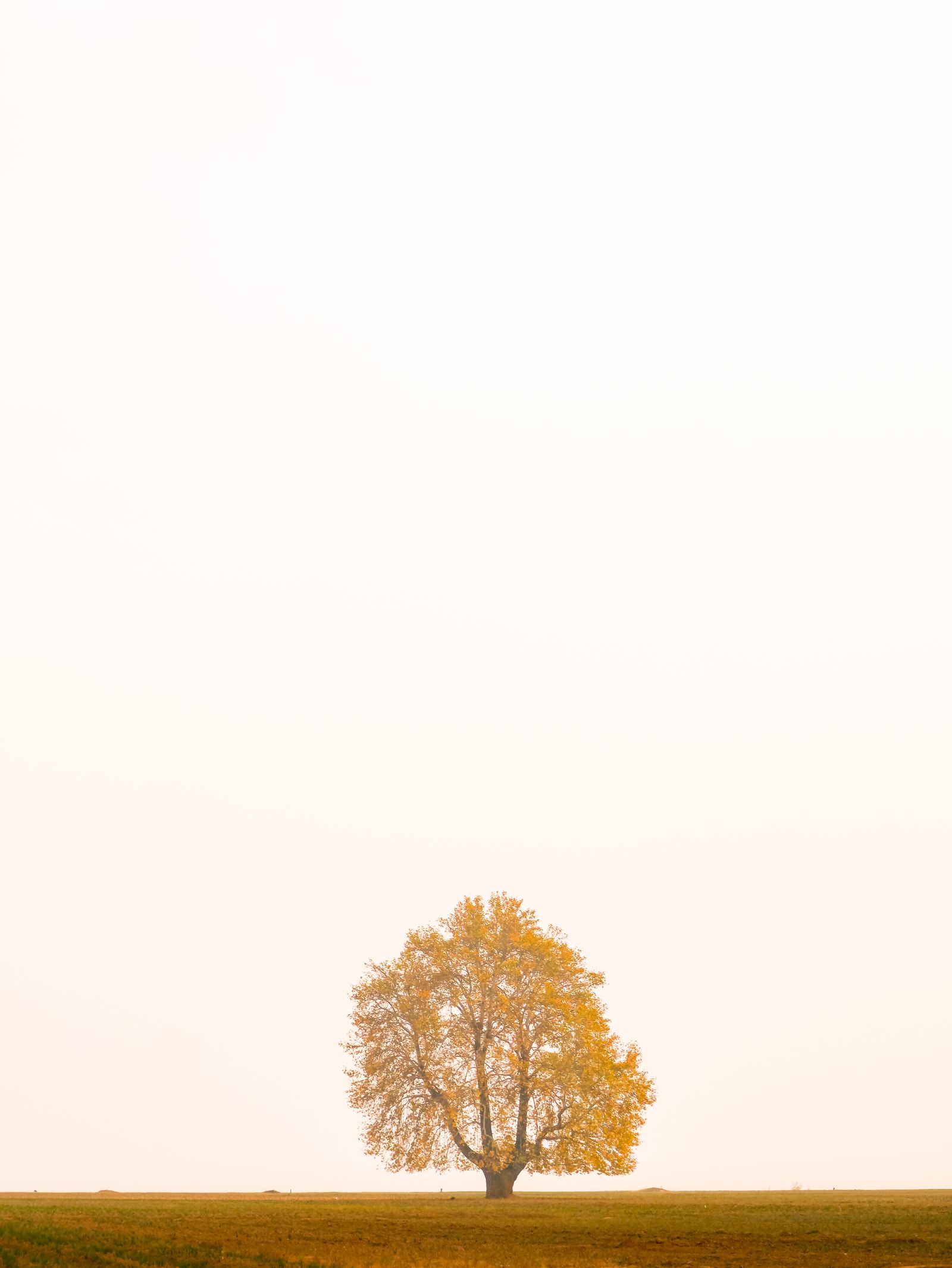 Nature Photo Aesthetic Landscape Photos, Download The BEST Free Nature ...