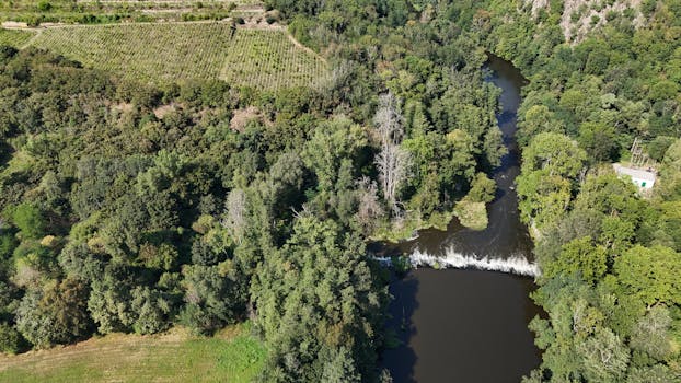 An aerial shot capturing a lush green forest and flowing river in South Moravian Region, Czechia.