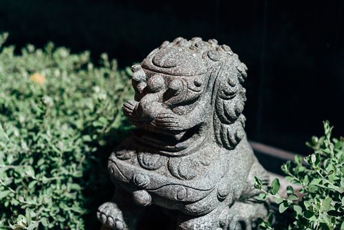 Free A detailed stone guardian lion statue amidst lush garden greenery. Stock Photo