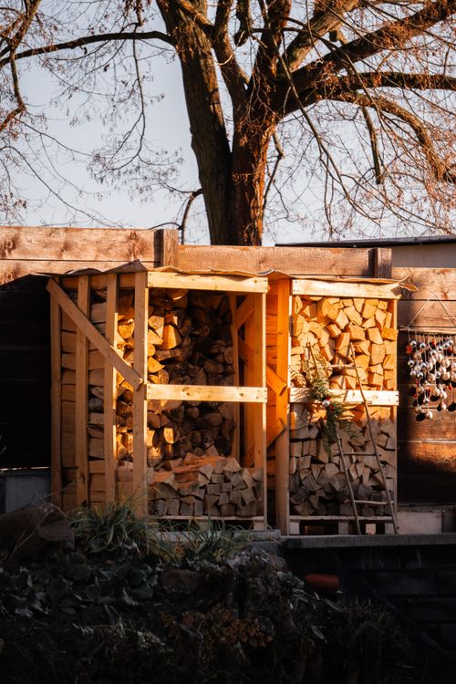 Free logs Stock Photo