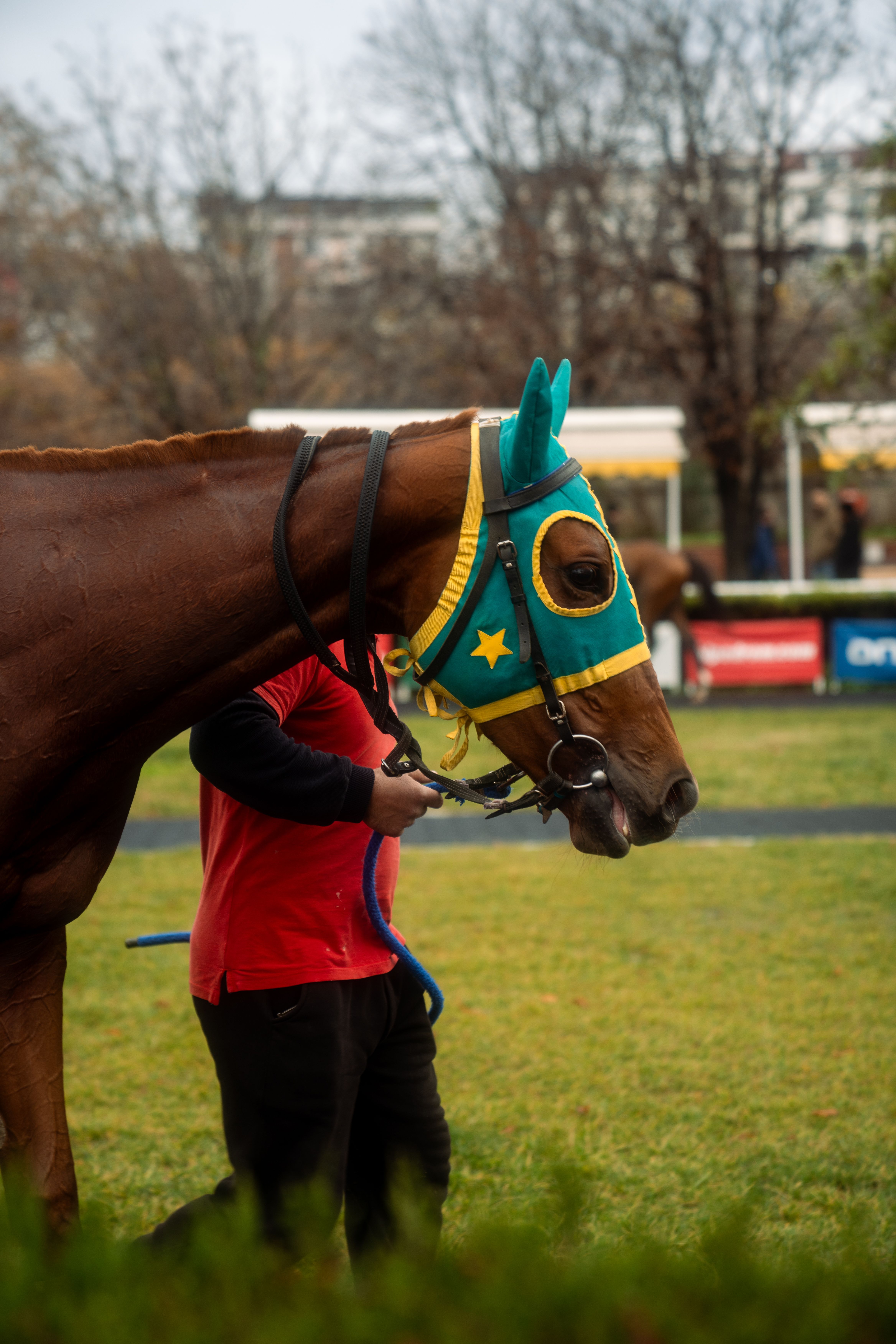 Nepal's Oscar Horse Just Left the Station and Ten Countries Bought a Ticket