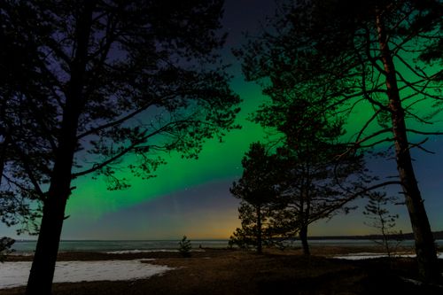Free Captivating view of Northern Lights illuminating the night sky above a tranquil forest setting. Stock Photo
