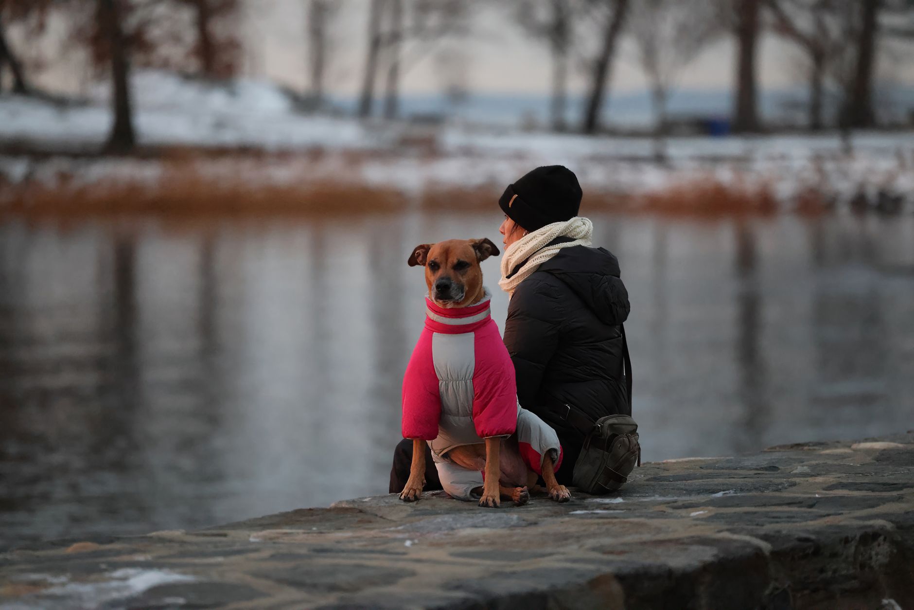 A person and dog in winter attire sit by a lake at dawn in Stamford, Connecticut.