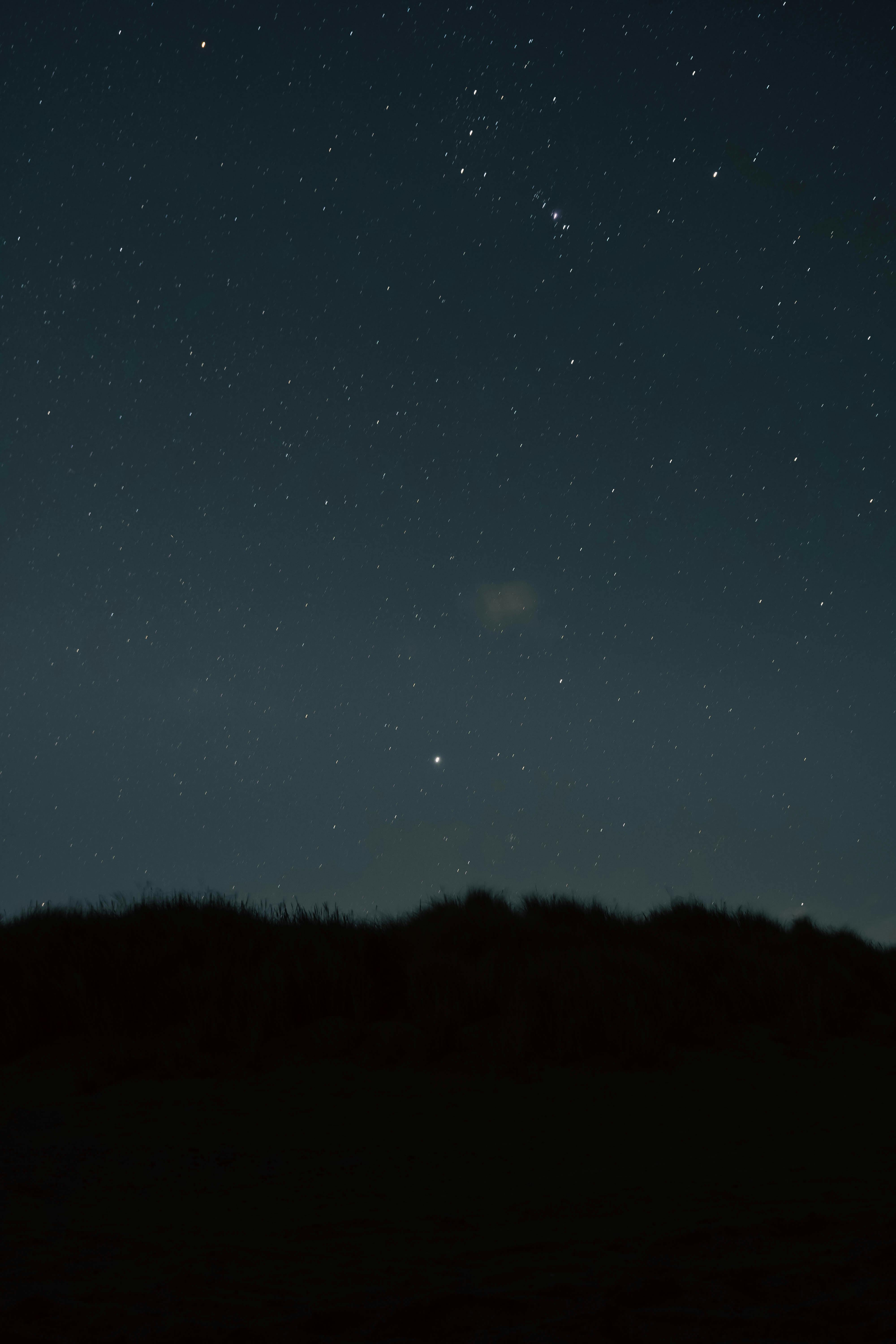 Rufina Alfaro: ¿Quién Es Esta Intrigante Figura en la Cultura? 2 ¿Quién Fue Rufina Alfaro? 5 Datos Sorprendentes que No Sabías sobre Esta Figura Histórica