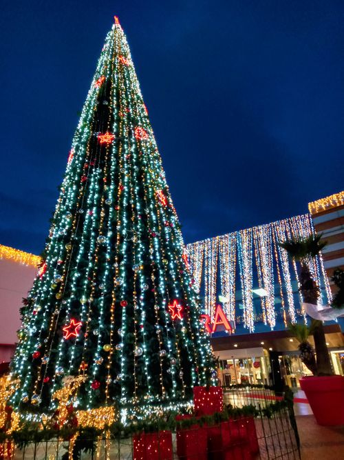 Free stock photo of christmas, christmas tree, christmas tree lights Stock Photo