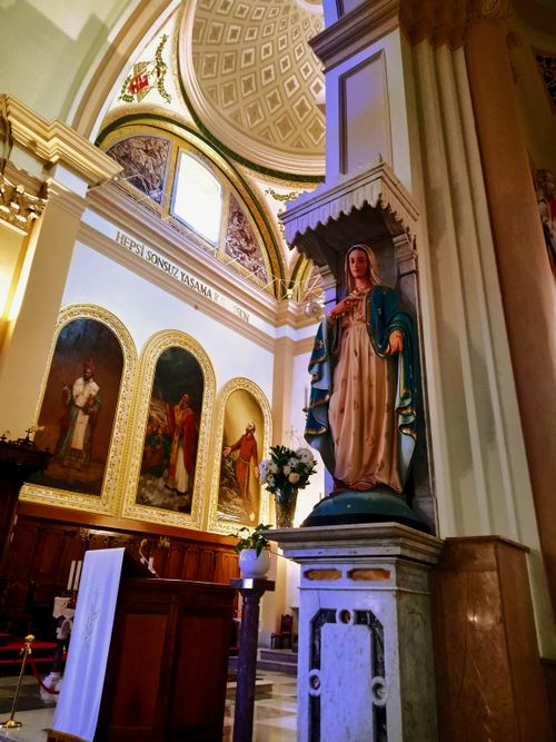 Free stock photo of architecture, ave maria, bear sanctuary Stock Photo