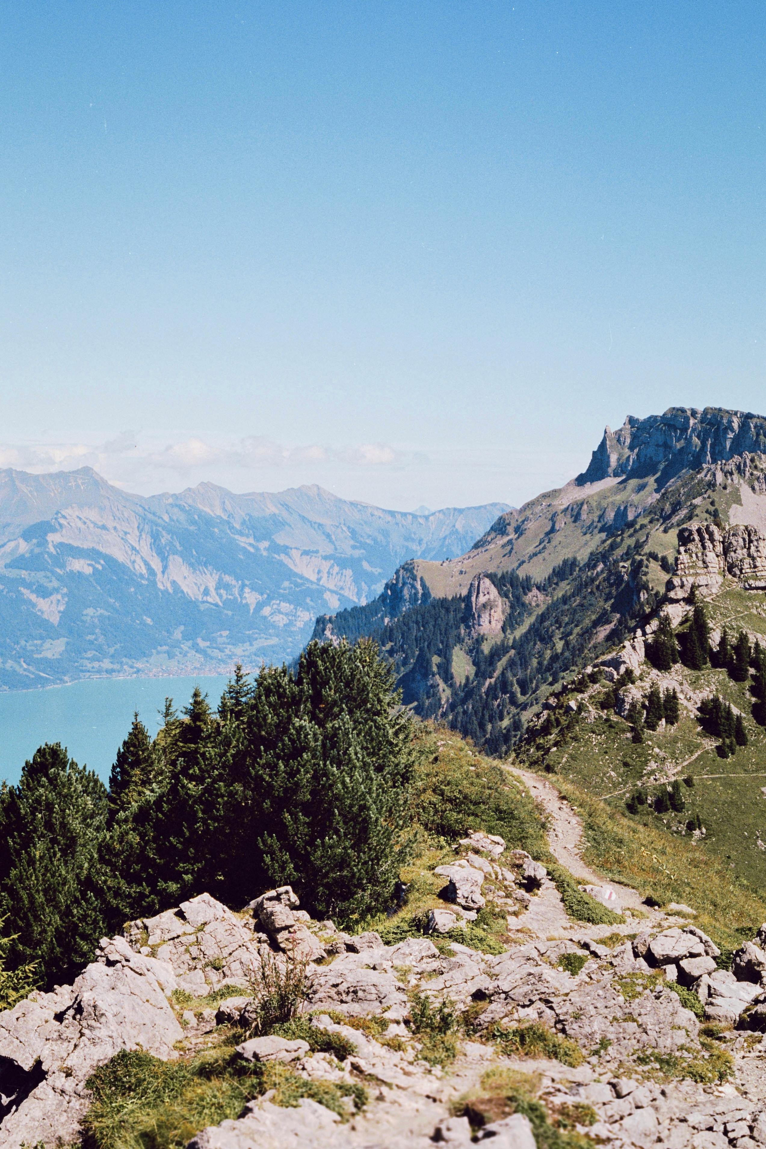 Scenic photo of the Swiss Alps with lush greenery and a pristine lake under a clear blue sky.