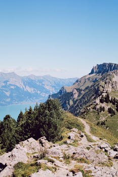 Scenic photo of the Swiss Alps with lush greenery and a pristine lake under a clear blue sky.