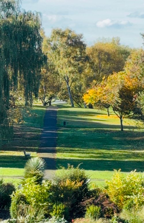 Free garden view  Stock Photo