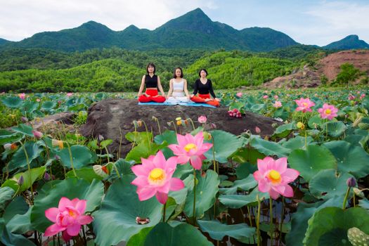 Three women practicing yoga surrounded by pink lotus fields in Hội An, Vietnam.