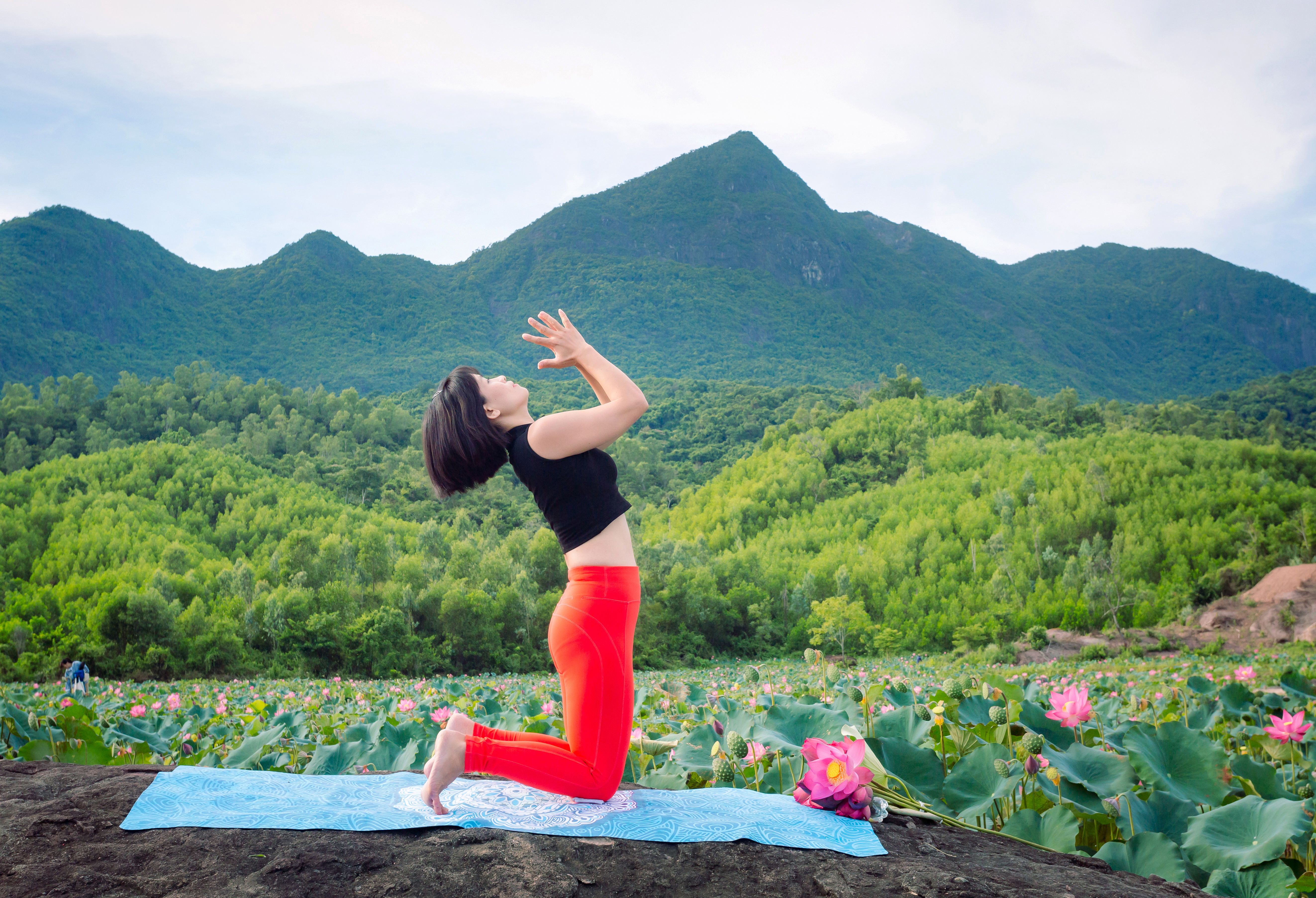 Woman practicing yoga amidst lotus fields in Hội An, Vietnam\'s serene countryside.