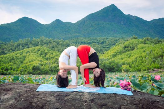 Two women practicing yoga in a lotus field in Hội An, Vietnam, surrounded by vibrant greenery.