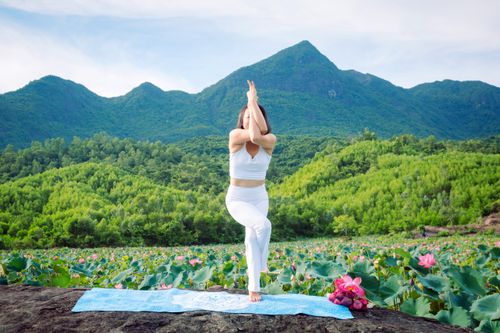 Free Woman practicing yoga in a lush lotus field with mountains in Hội An, Vietnam. Stock Photo