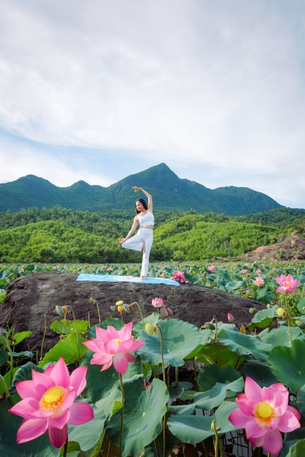 Woman practicing yoga on a rock amidst vibrant lotus fields in Hội An, Vietnam.