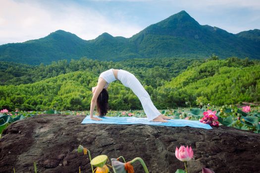 Woman practicing yoga in vibrant lotus fields with lush mountains in Hội An, Vietnam.