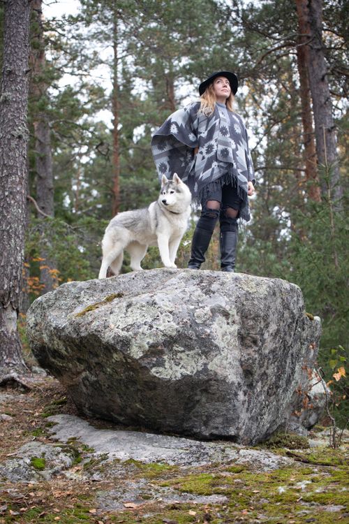 Free A woman and her husky dog stand confidently on a rock surrounded by forest trees. Stock Photo