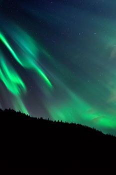 Capture the breathtaking aurora borealis in British Columbia's night sky, perfect for star photography enthusiasts.