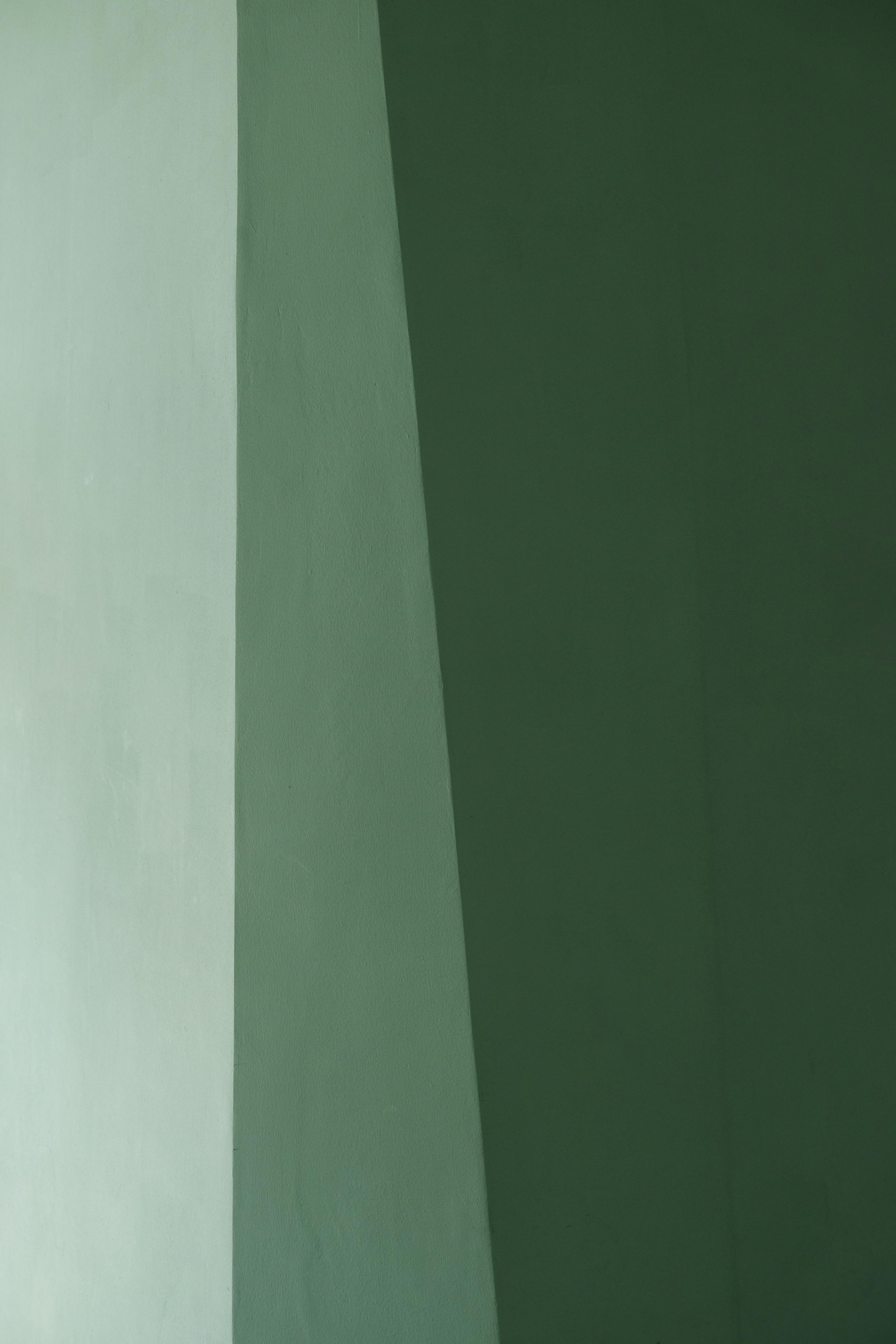 grátis Um canto de parede minimalista que exibe simplicidade elegante com tons de gradiente de verde. Foto profissional