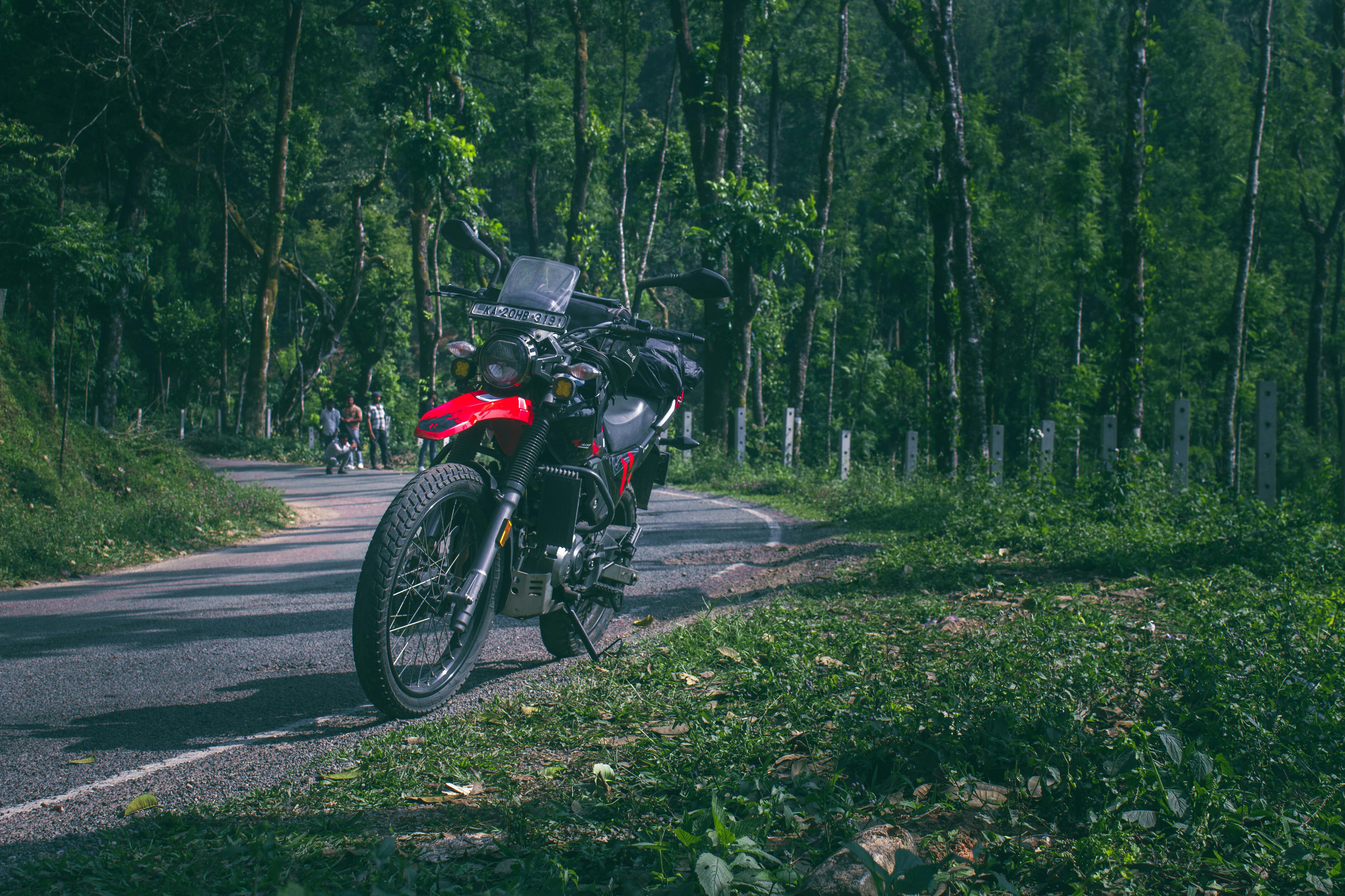 Black motorcycle parked on a winding road surrounded by lush forest greenery, perfect for adventure enthusiasts.