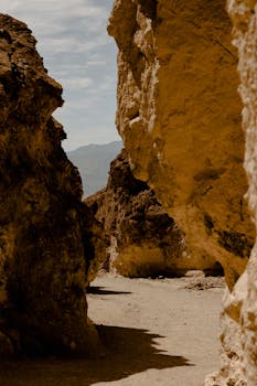 沐浴在阳光下，探索岩石峡谷崎岖小径的自然之美