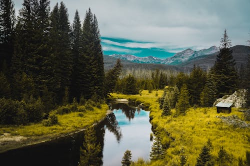 Foto Del Fiume Durante Il Giorno