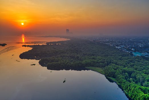 俯瞰雅加达郁郁葱葱的绿色海岸线，地平线上是充满活力的日出