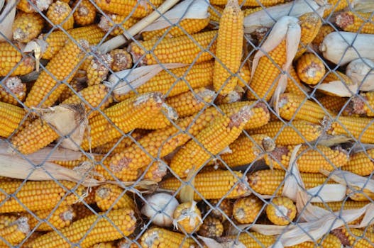 Villeneuve-les-Sablons