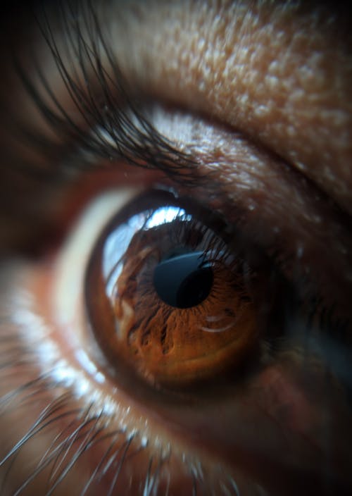 Close-up Photo of Person's Eyes