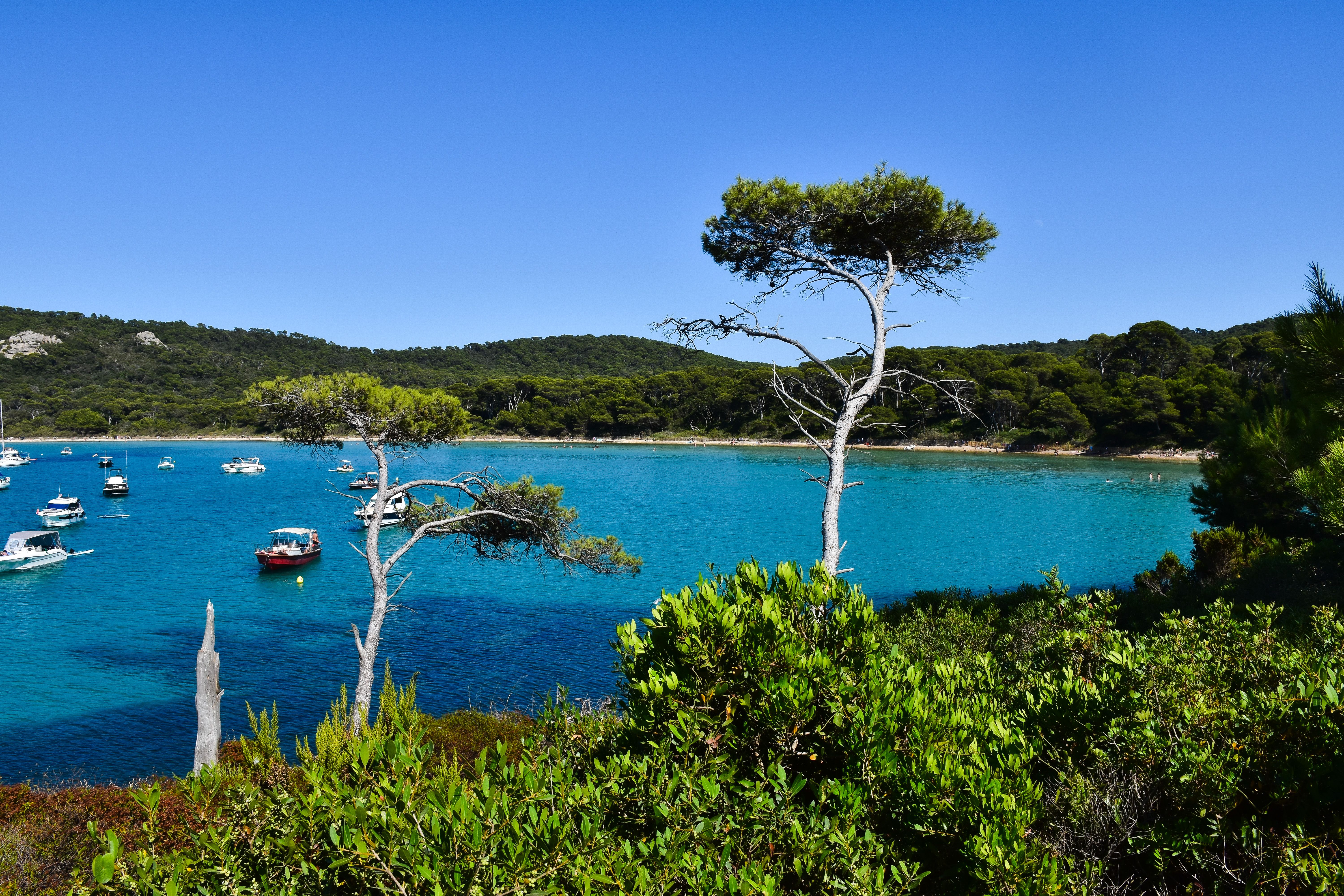 Wino z Porquerolles