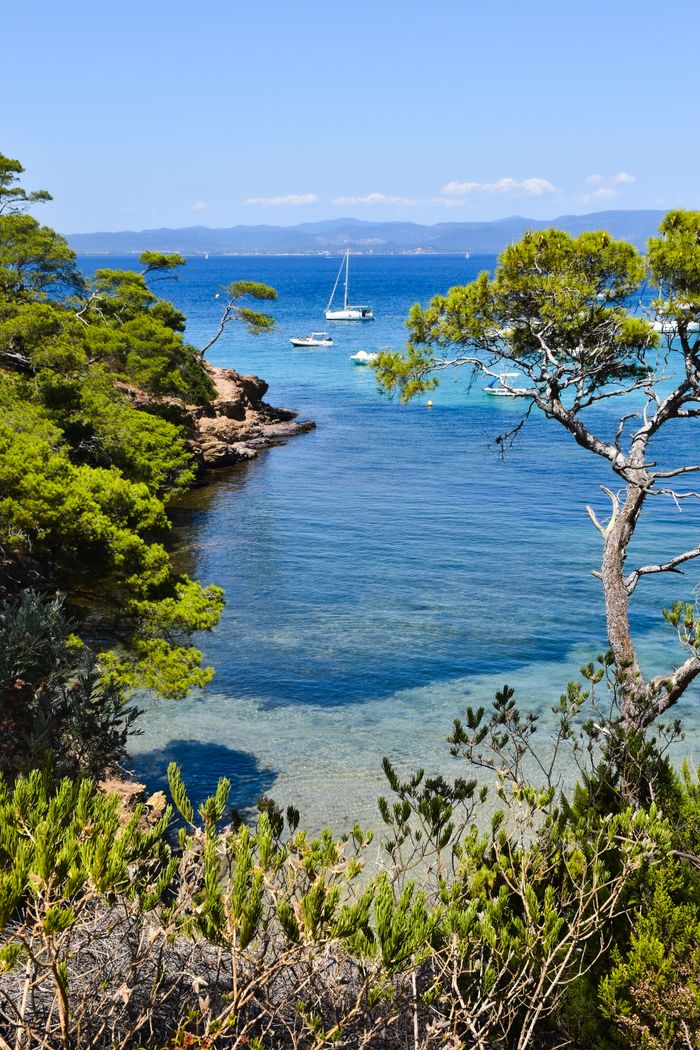 Crique de l'île de Porquerolles
