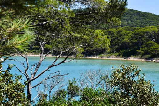 Sartilly-Baie-Bocage