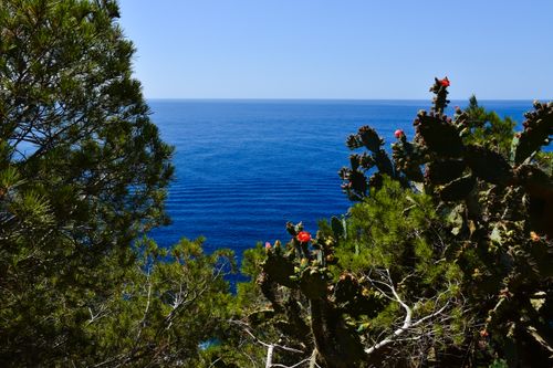 Free Vibrant view of Hyères, France with lush greenery and blue sea. Stock Photo