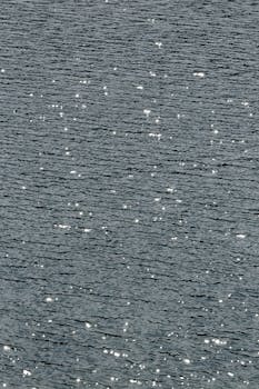 阳光下，宁静的水面闪闪发光，营造出宁静的自然风光