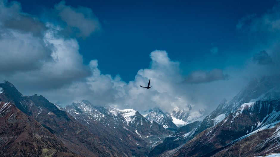 Himachal Tour Packages