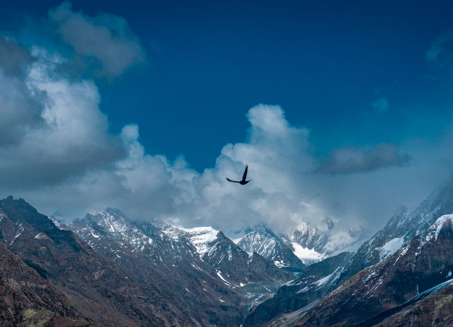 Stunning view of the Himalayan mountains with a bird soaring in the clear blue sky.